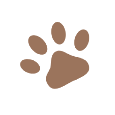 Dog paw print icon